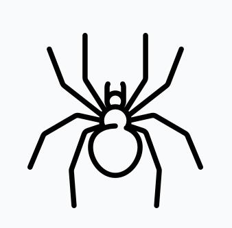 L'araignée Gipsy